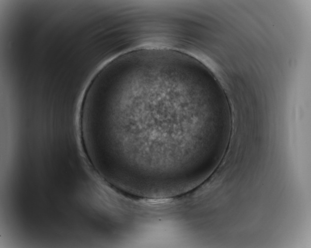 X0000090740864200707201428