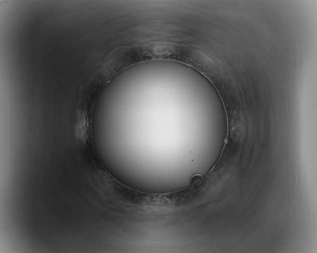 X0000090740866200707201427