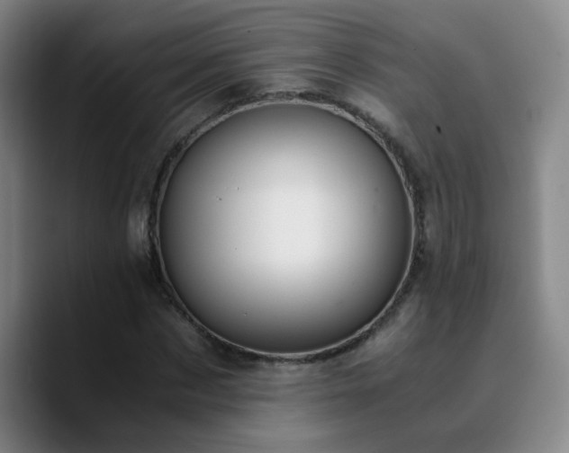 X0000090740873200707201427
