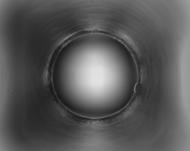 X0000090740876200707201427