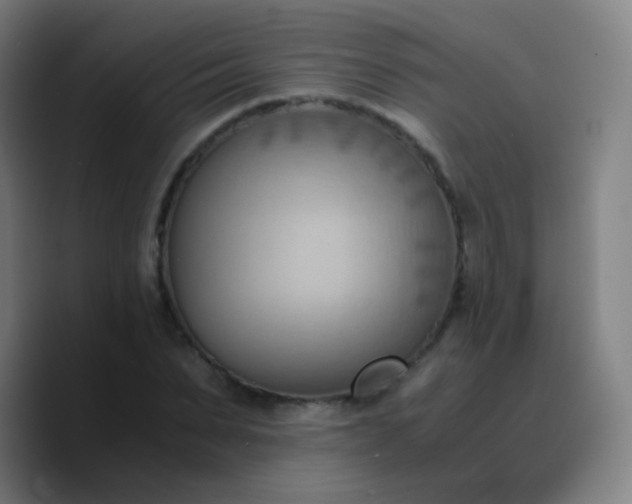 X0000090740879200707201427