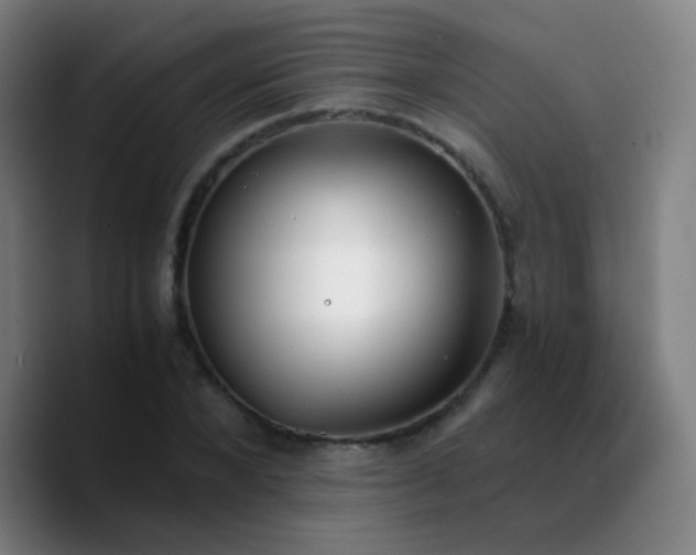 X0000090740880200707201427