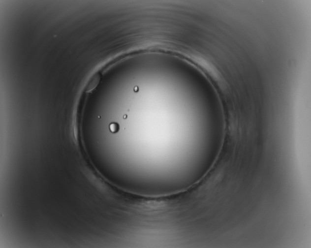 X0000090740888200707201427