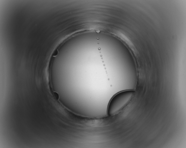 X0000090740891200707201427