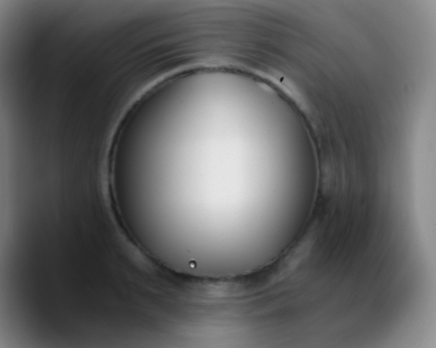 X0000090740895200707201427