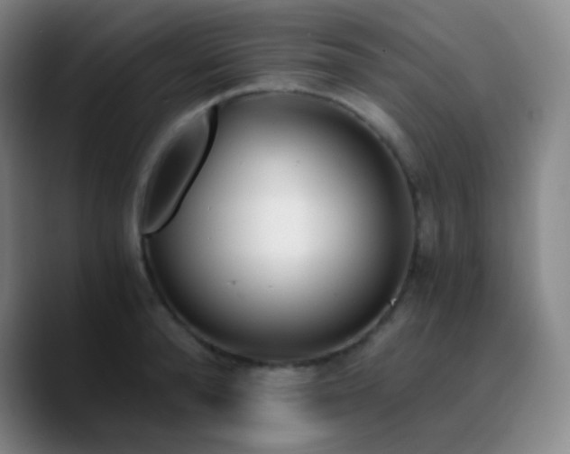 X0000090740896200707201426