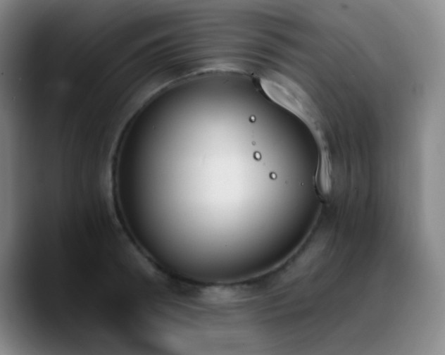 X0000090740898200707201426