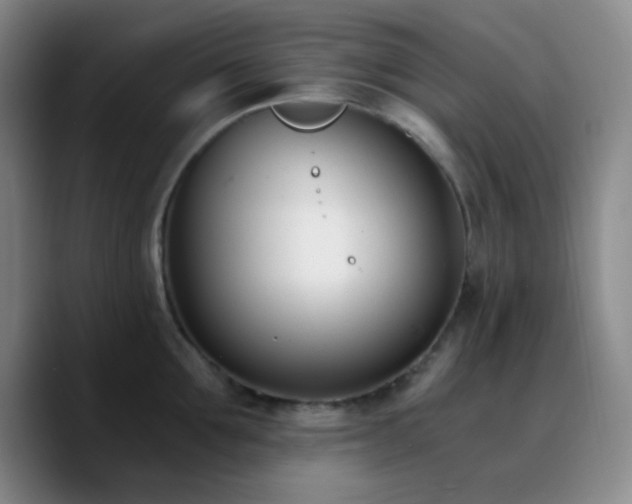 X0000090740907200707201426