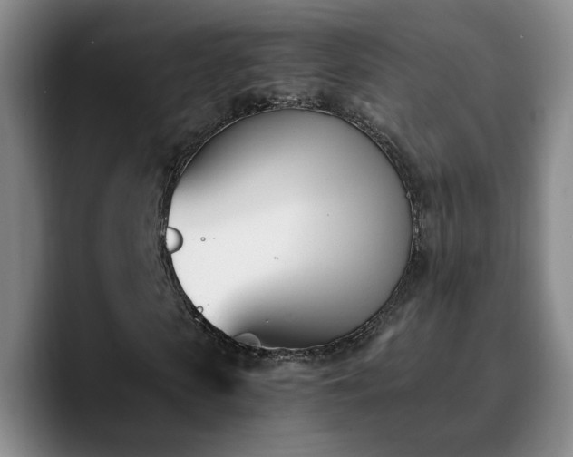 X0000090740913200707201426