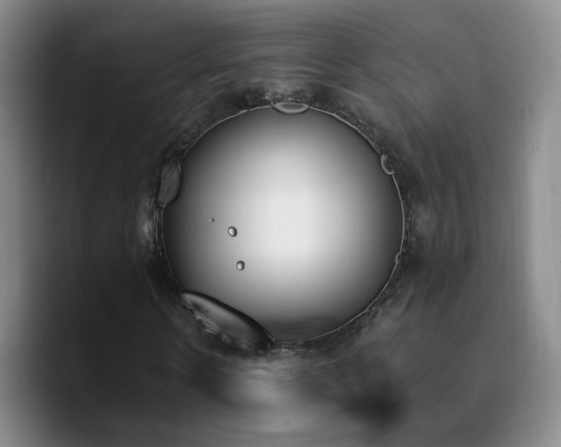 X0000090740914200707201426