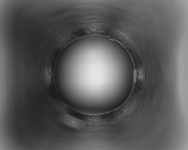 X0000090740915200707201426