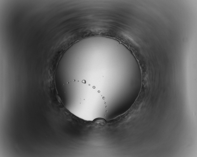 X0000090740917200707201426