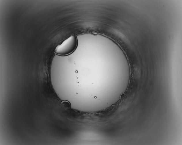X0000090740918200707201426
