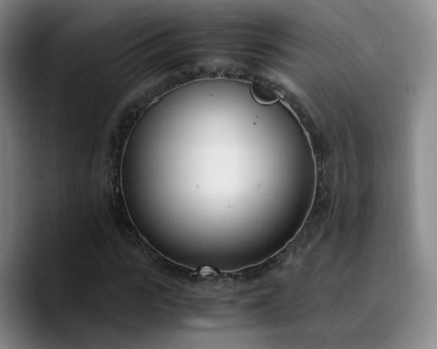 X0000090740919200707201426