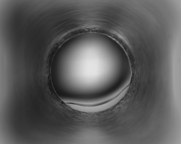 X0000090740920200707201426