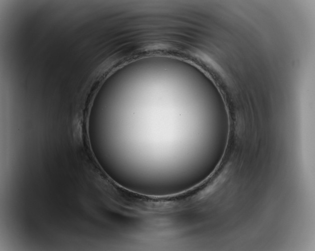 X0000090740921200707201426