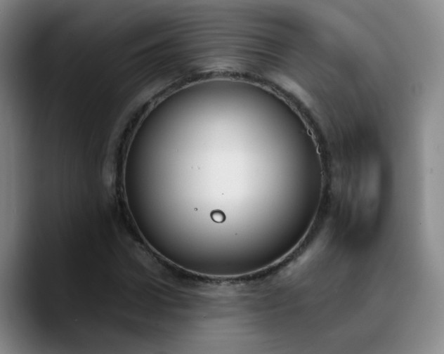 X0000090740922200707201426