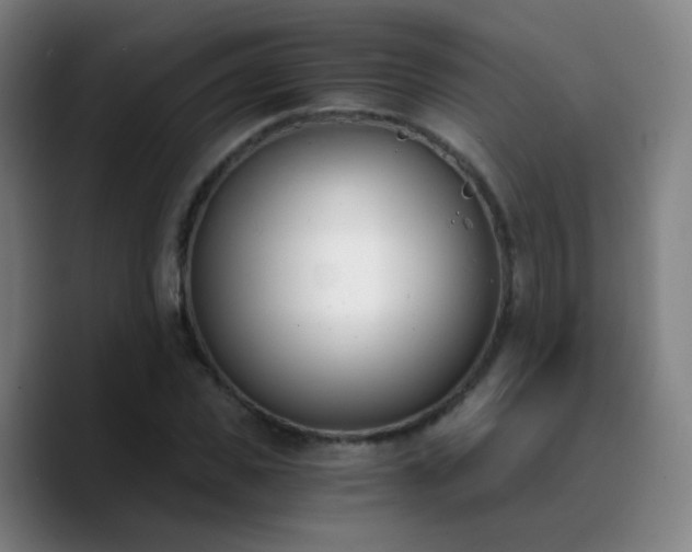 X0000090740925200707201426