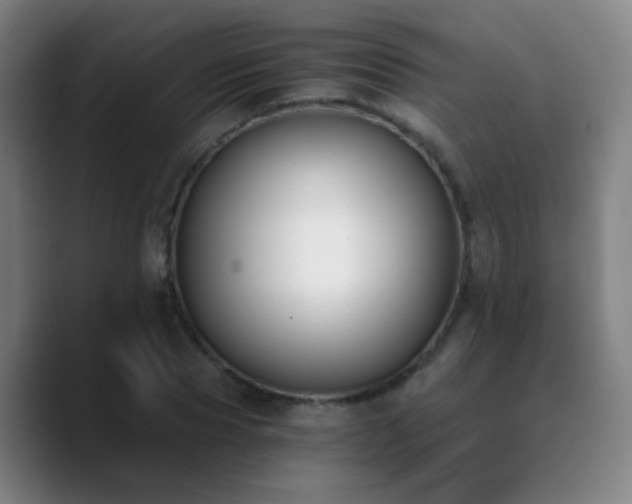 X0000090740929200707201426
