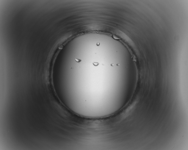 X0000090740930200707201426