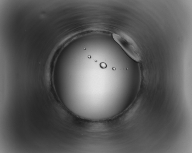 X0000090740931200707201426