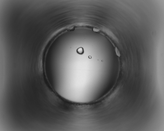 X0000090740934200707201426