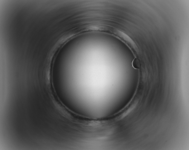X0000090740938200707201426