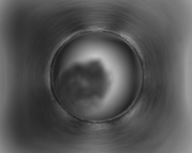 X0000090740941200707201426