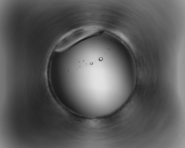 X0000090740943200707201426