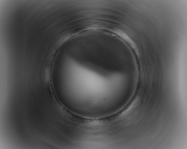 X0000090740945200707201426