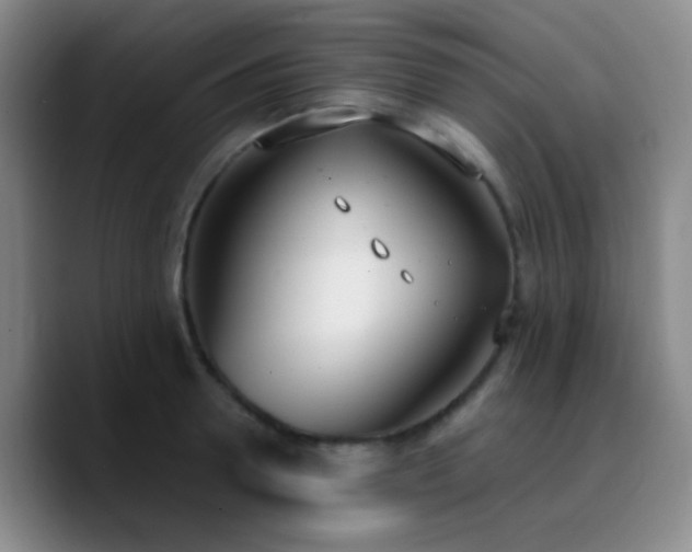 X0000090740946200707201426