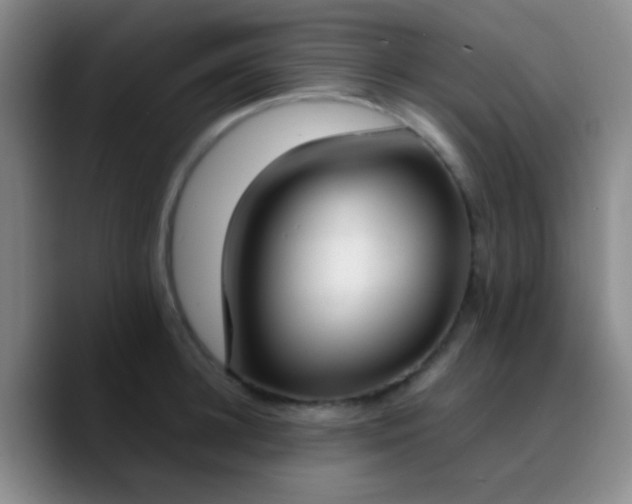 X0000090740948200707201426