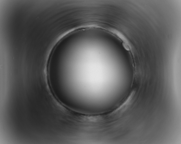 X0000090740951200707201426