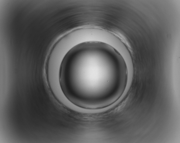 X0000090740952200707201426