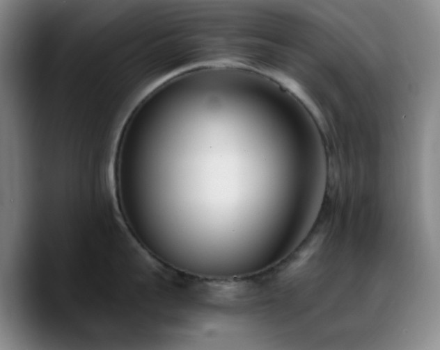 X0000090740959200707201426