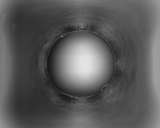 X0000090740961200707201426