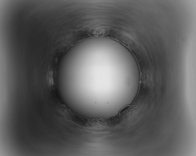 X0000090740962200707201426