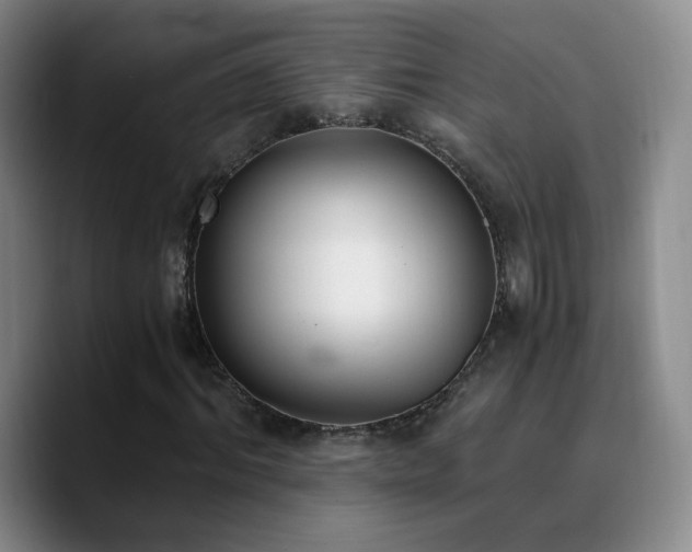 X0000090740964200707201426