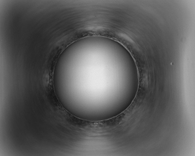 X0000090740966200707201426