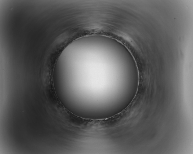 X0000090740967200707201426