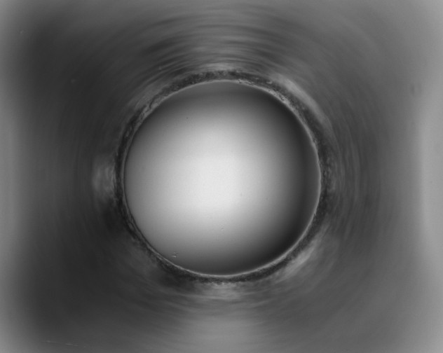 X0000090740969200707201426