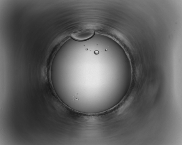 X0000090740970200707201426