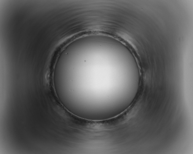 X0000090740971200707201426
