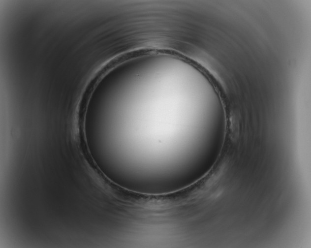 X0000090740972200707201425