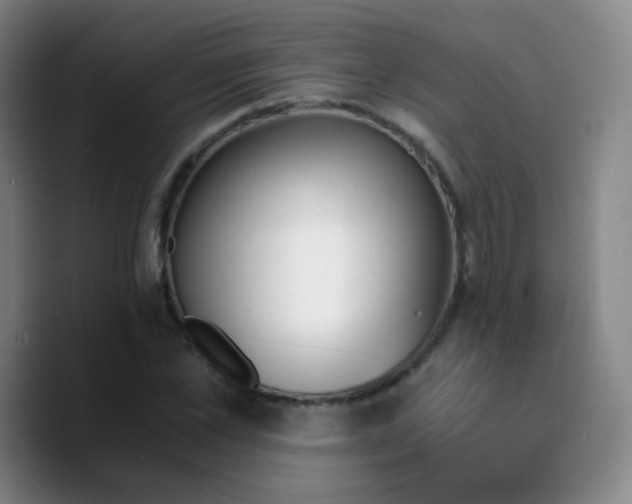 X0000090740973200707201425