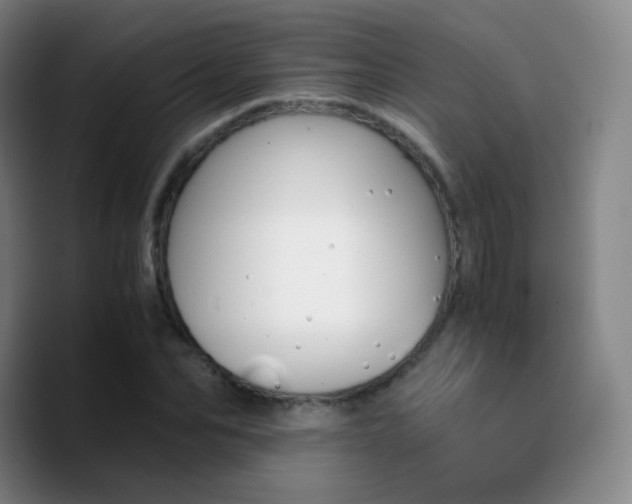 X0000090740974200707201425