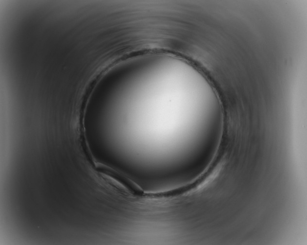 X0000090740977200707201425