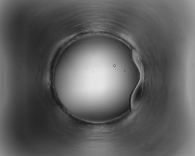 X0000090740979200707201425