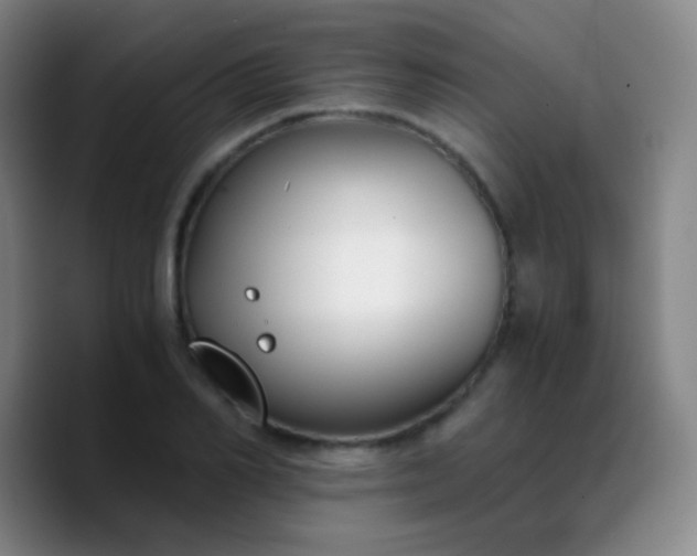 X0000090740982200707201425