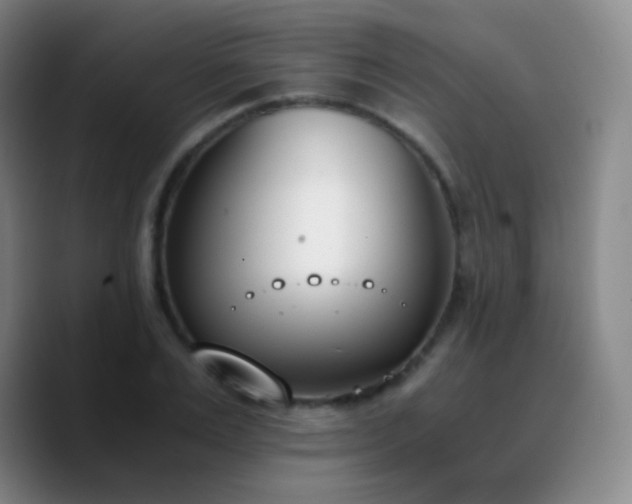 X0000090740983200707201425